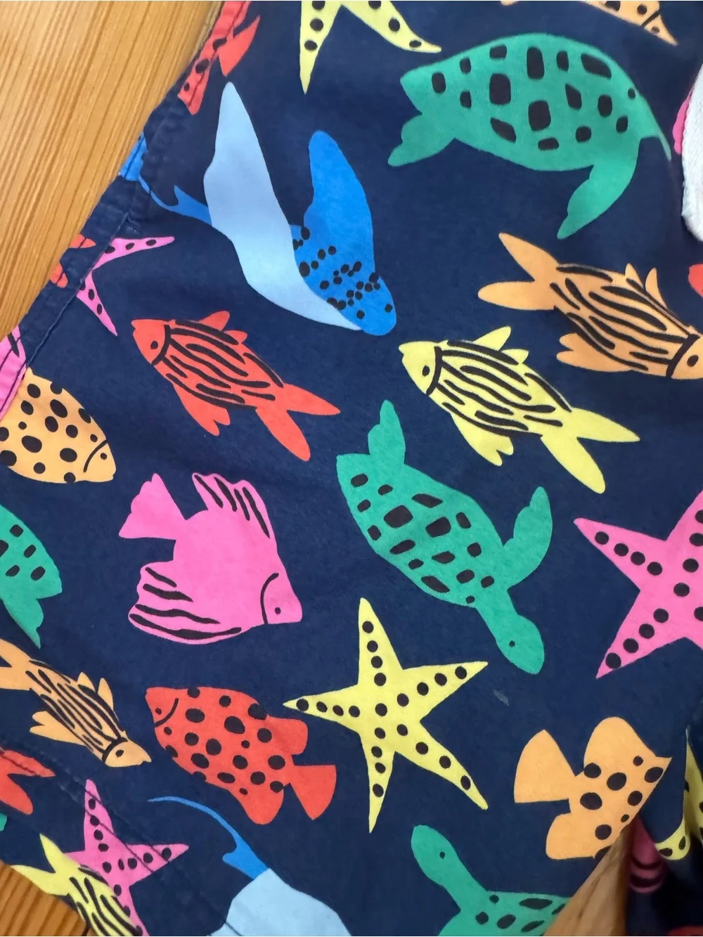 Hanna Andersson Multicolor Sea Life Swim Shorts